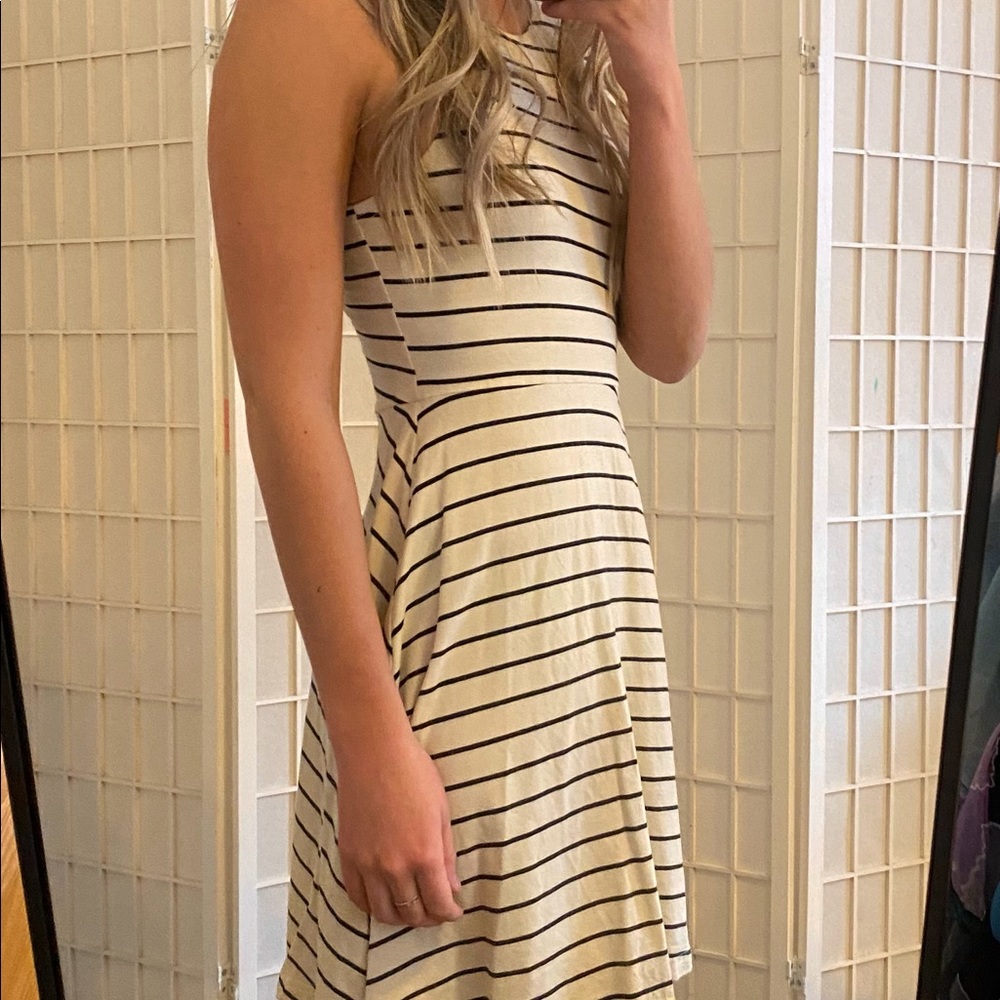 Striped Skater Dress
